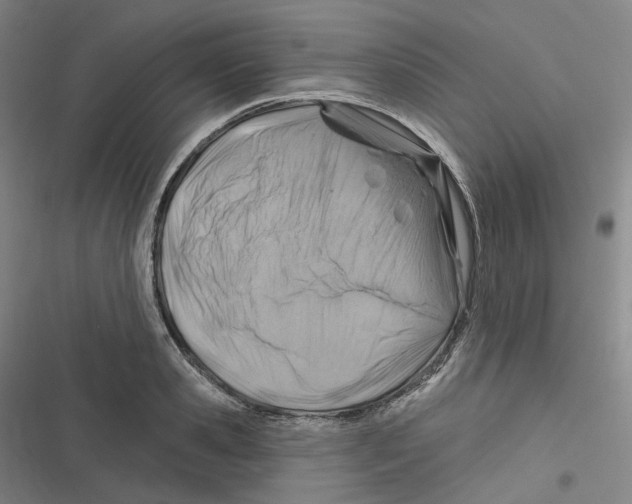X0000116630941201001081249