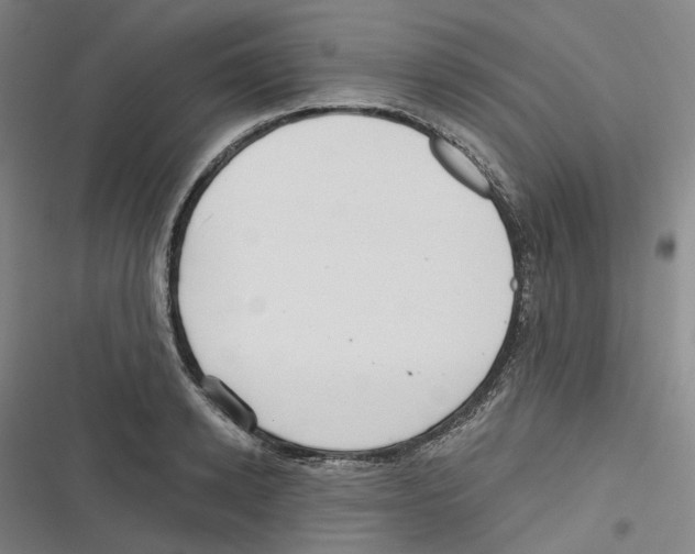 X0000116630942201001081250