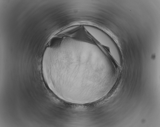 X0000116630945201001081250