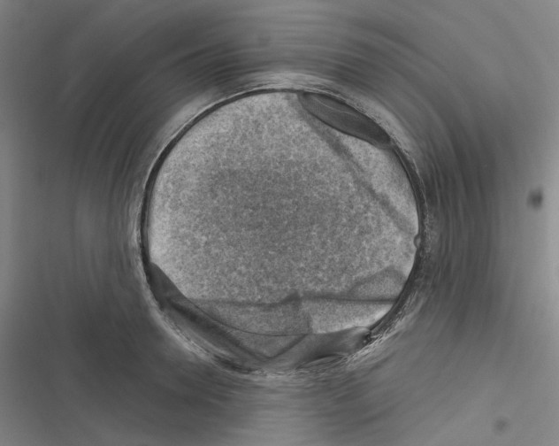 X0000116630946201001081250