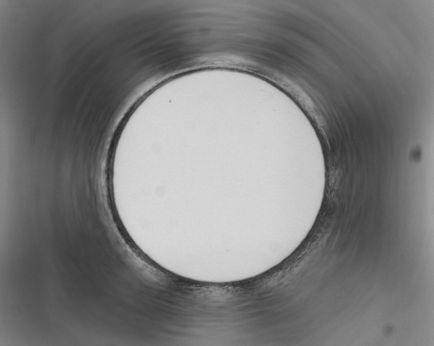 X0000116630947201001081250