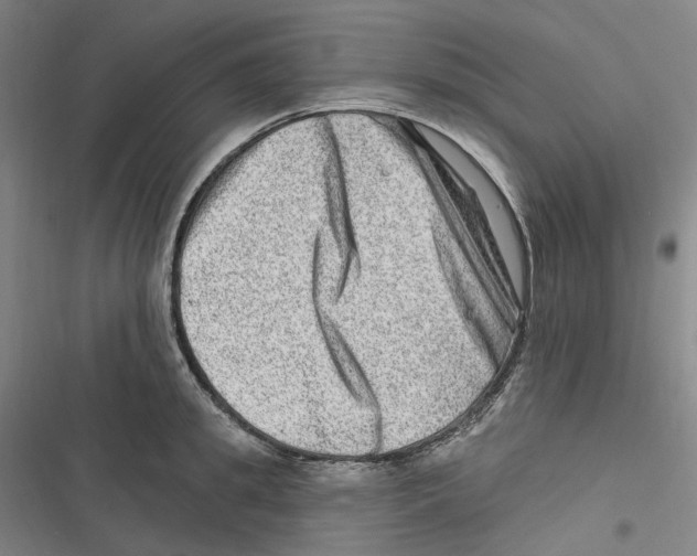 X0000116630949201001081250