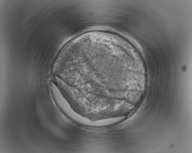 X0000116630953201001081250
