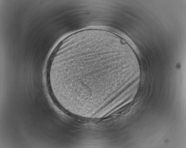 X0000116630955201001081250