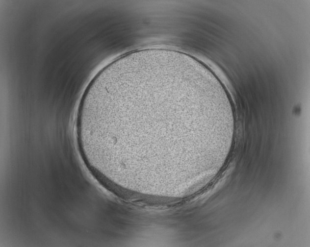 X0000116630957201001081250