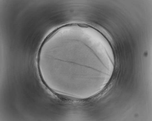 X0000116630958201001081250