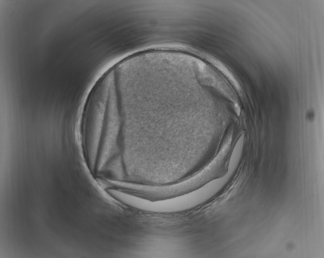 X0000116630959201001081250