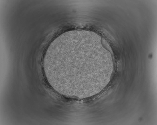 X0000116630961201001081249