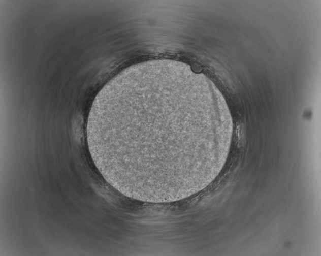 X0000116630963201001081249