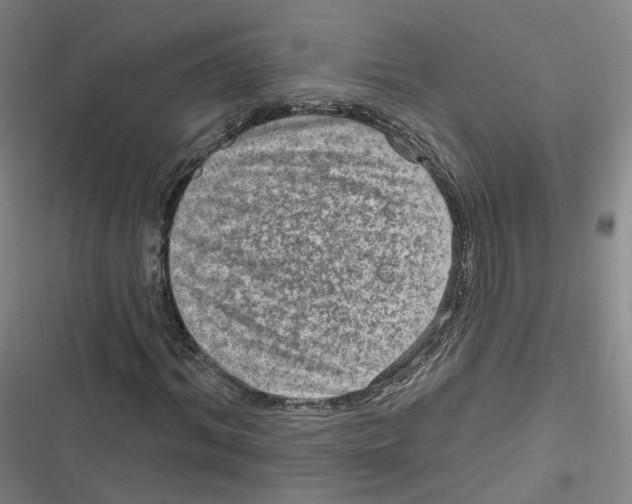 X0000116630964201001081249