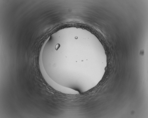 X0000116630965201001081249