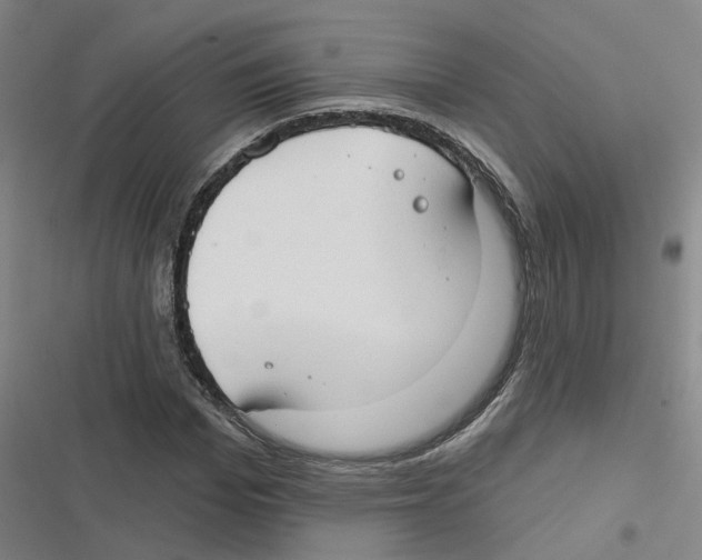 X0000116630969201001081249