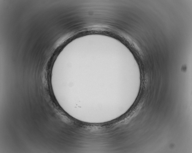 X0000116630970201001081249