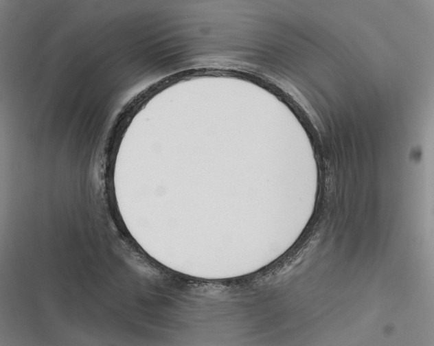 X0000116630971201001081249