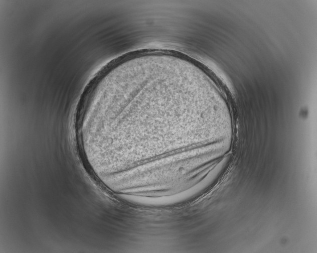 X0000116630972201001081249