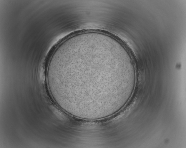 X0000116630973201001081249