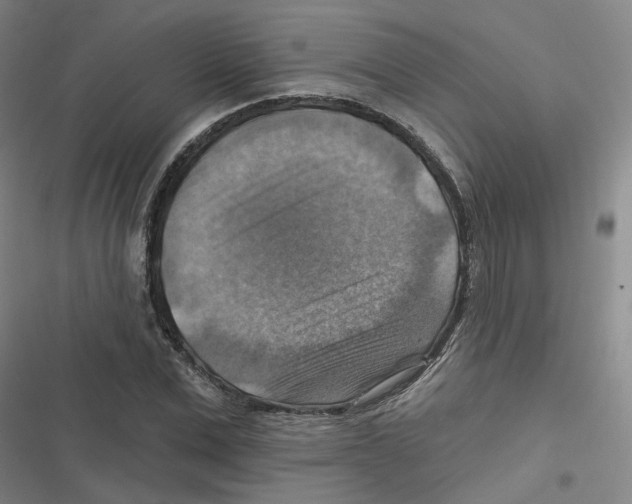 X0000116630975201001081249