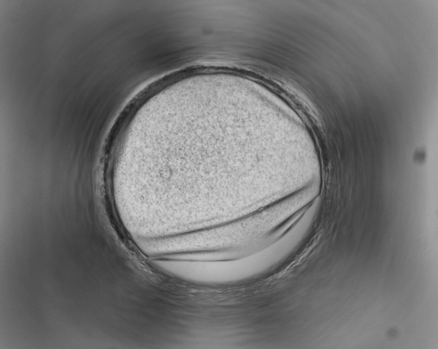 X0000116630976201001081249