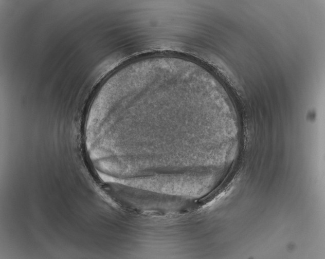 X0000116630977201001081249