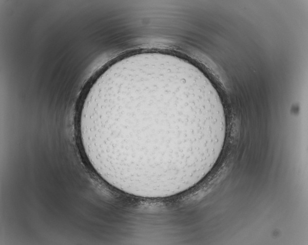 X0000116630978201001081249