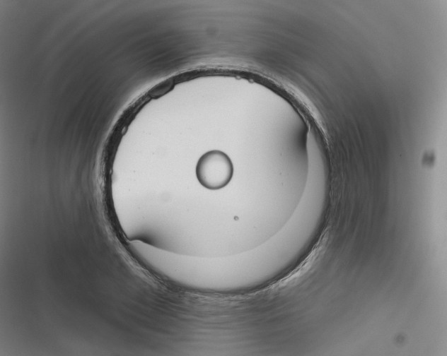 X0000116630981201001081249