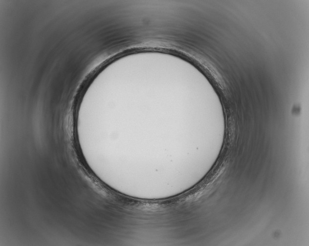 X0000116630982201001081249