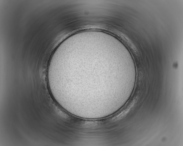 X0000116630985201001081249
