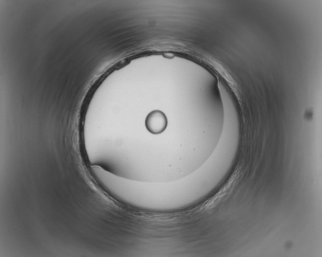 X0000116630986201001081249