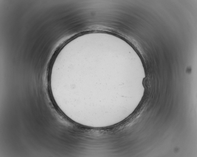 X0000116630987201001081249
