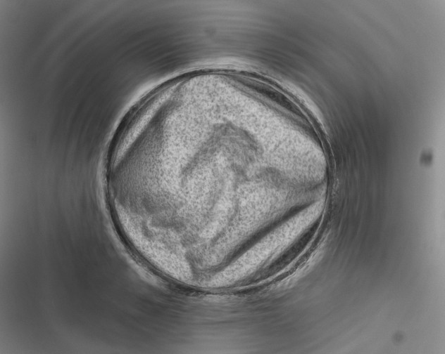 X0000116630989201001081249