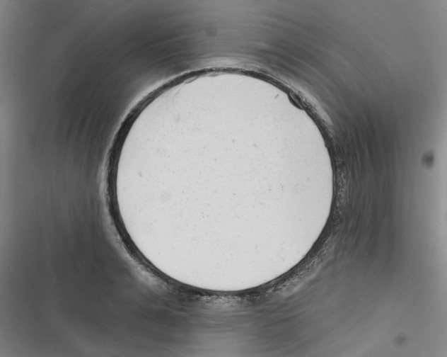 X0000116630991201001081249