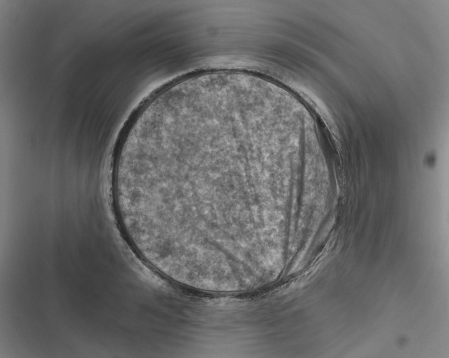 X0000116630992201001081249