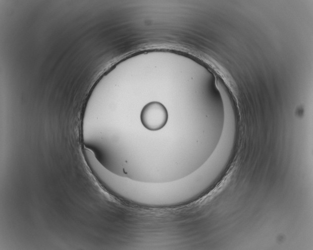 X0000116630993201001081249