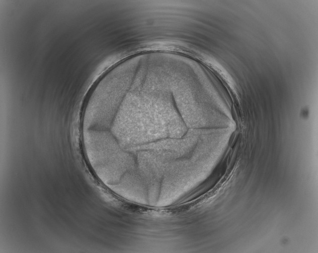 X0000116630994201001081249