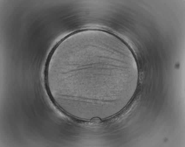 X0000116630995201001081249
