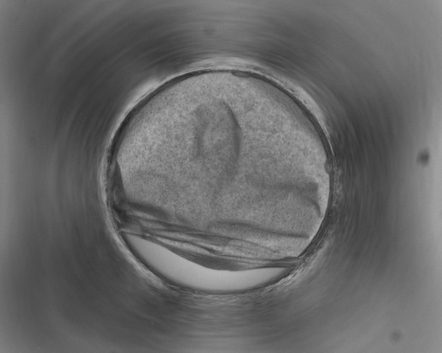 X0000116630997201001081249
