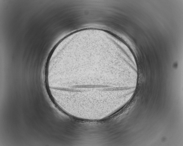 X0000116630999201001081249