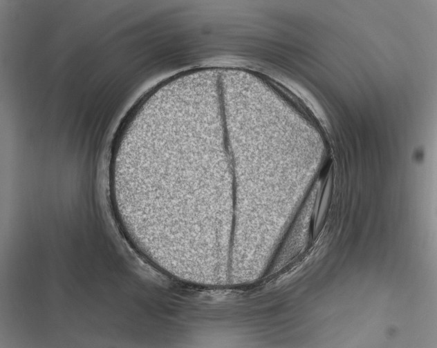 X0000116631000201001081249