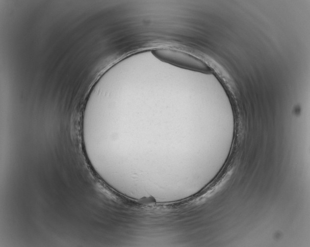 X0000116631001201001081249