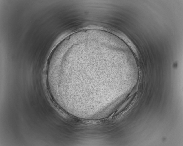 X0000116631002201001081249