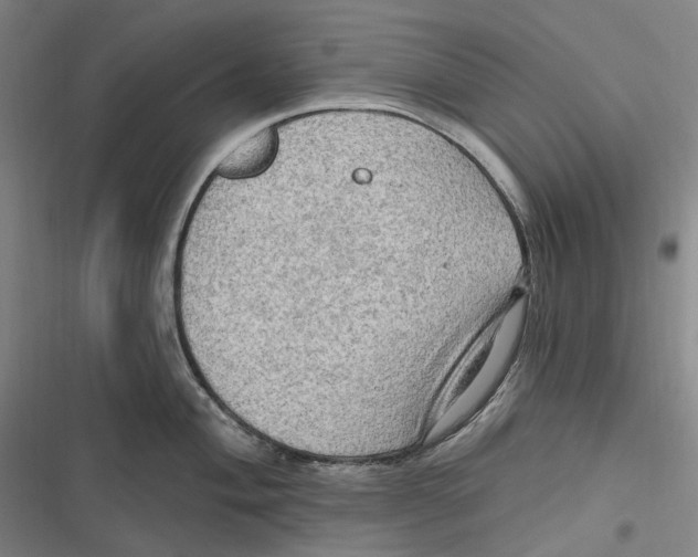 X0000116631004201001081249