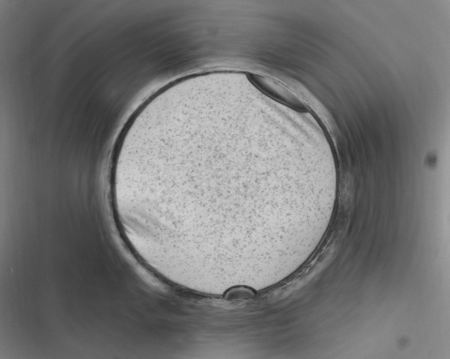 X0000116631005201001081248