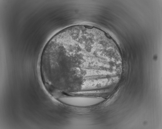 X0000116631007201001081248