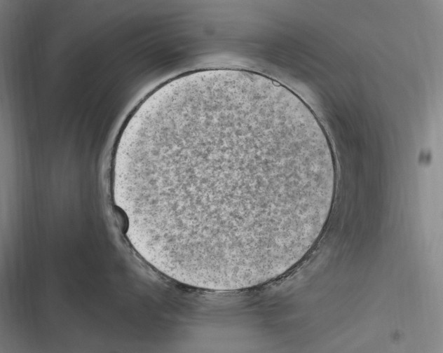 X0000116631008201001081248