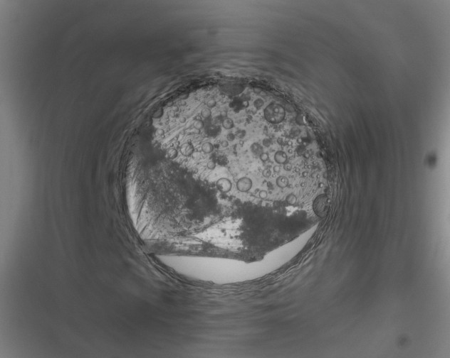 X0000116631009201001081248