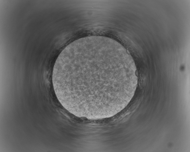 X0000116631010201001081248