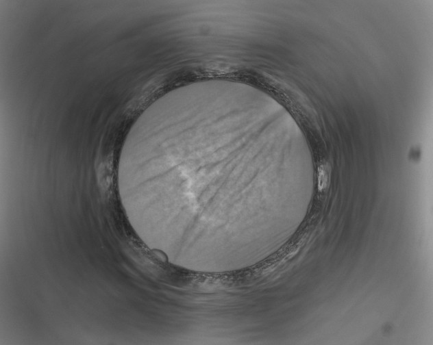 X0000116631011201001081248