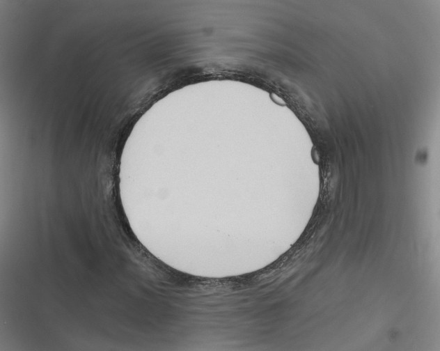 X0000116631012201001081248