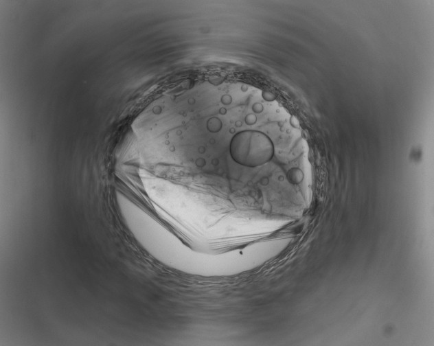 X0000116631013201001081248