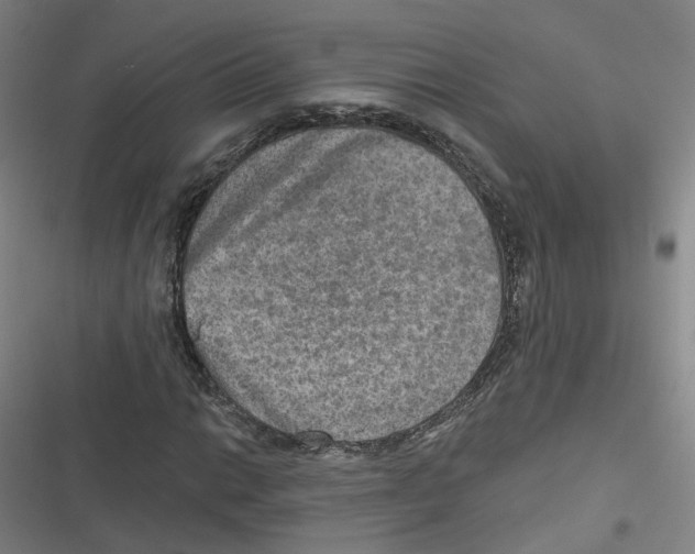 X0000116631014201001081248